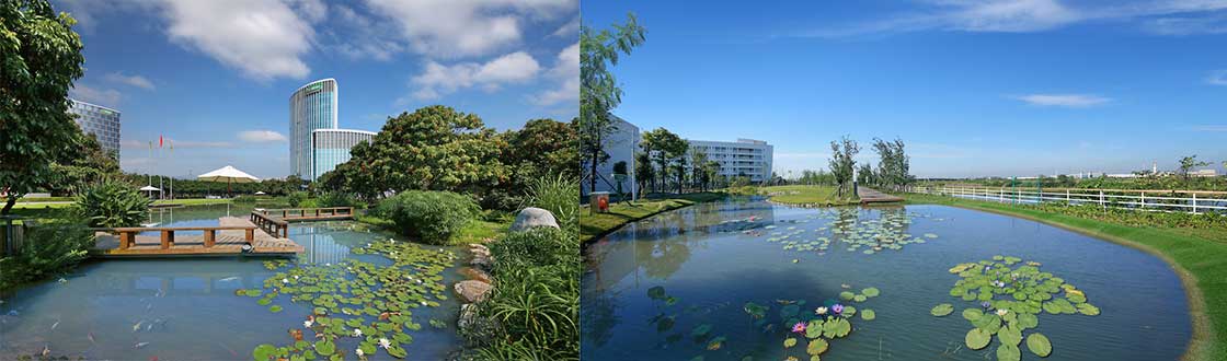 1617881178910371Z6Vs.jpg 121211.jpg