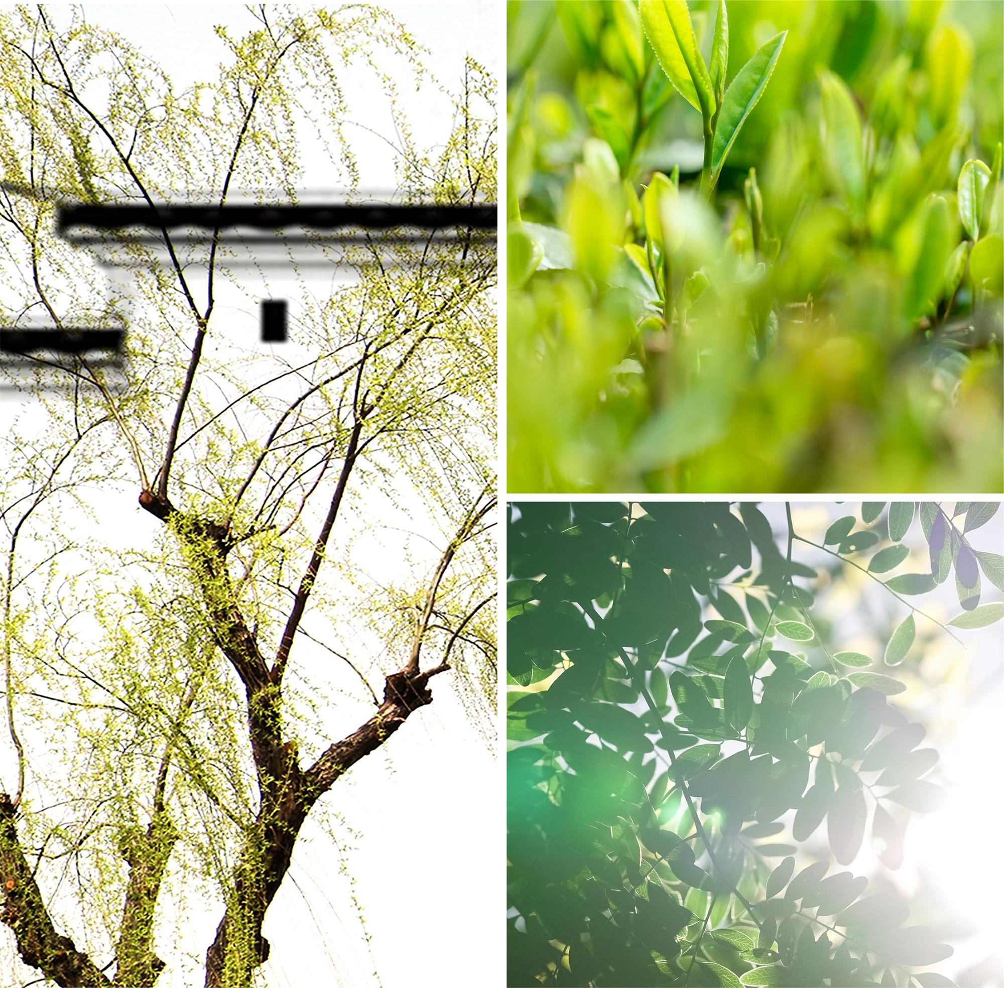 1664354739782827LI58.jpg 萌发灵感图.jpg