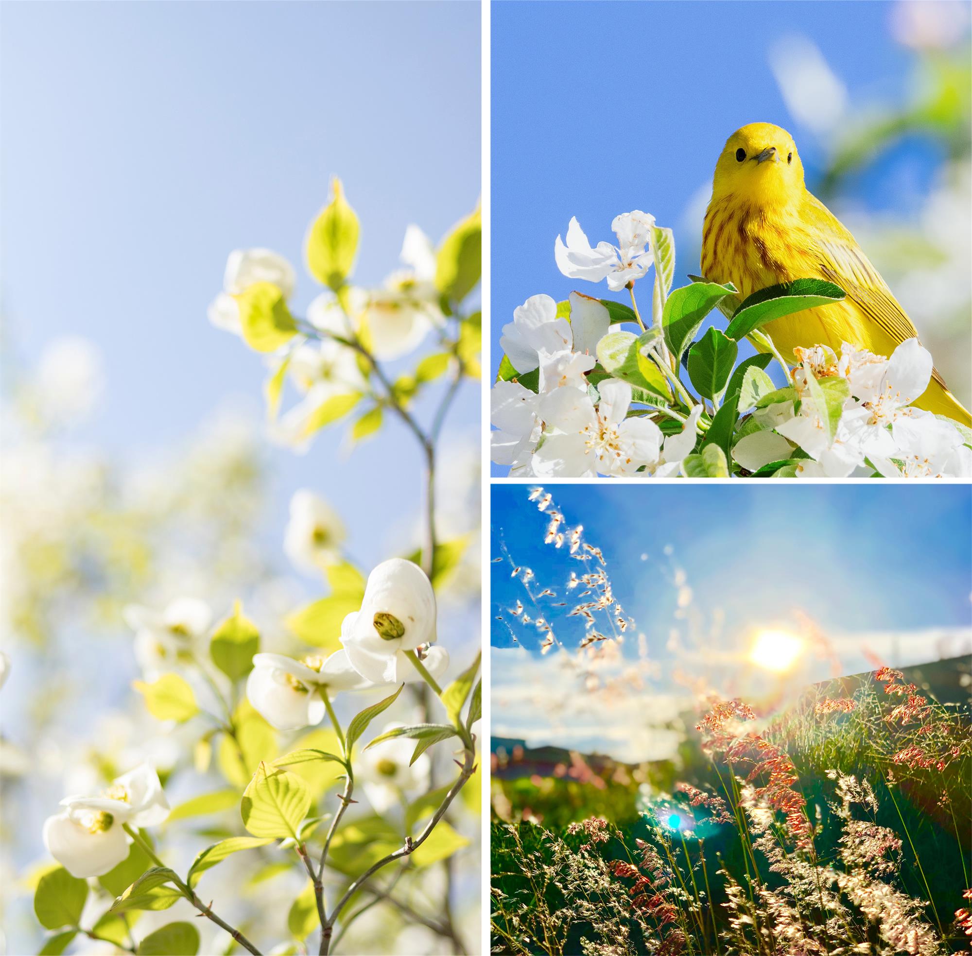 1664354907972712jVm4.jpg 清欢灵感图.jpg