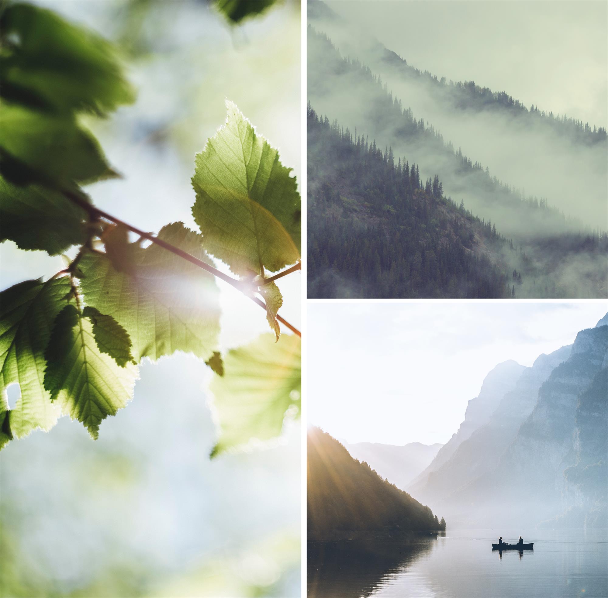 1664355213124482XhHa.jpg 寻隐灵感图.jpg