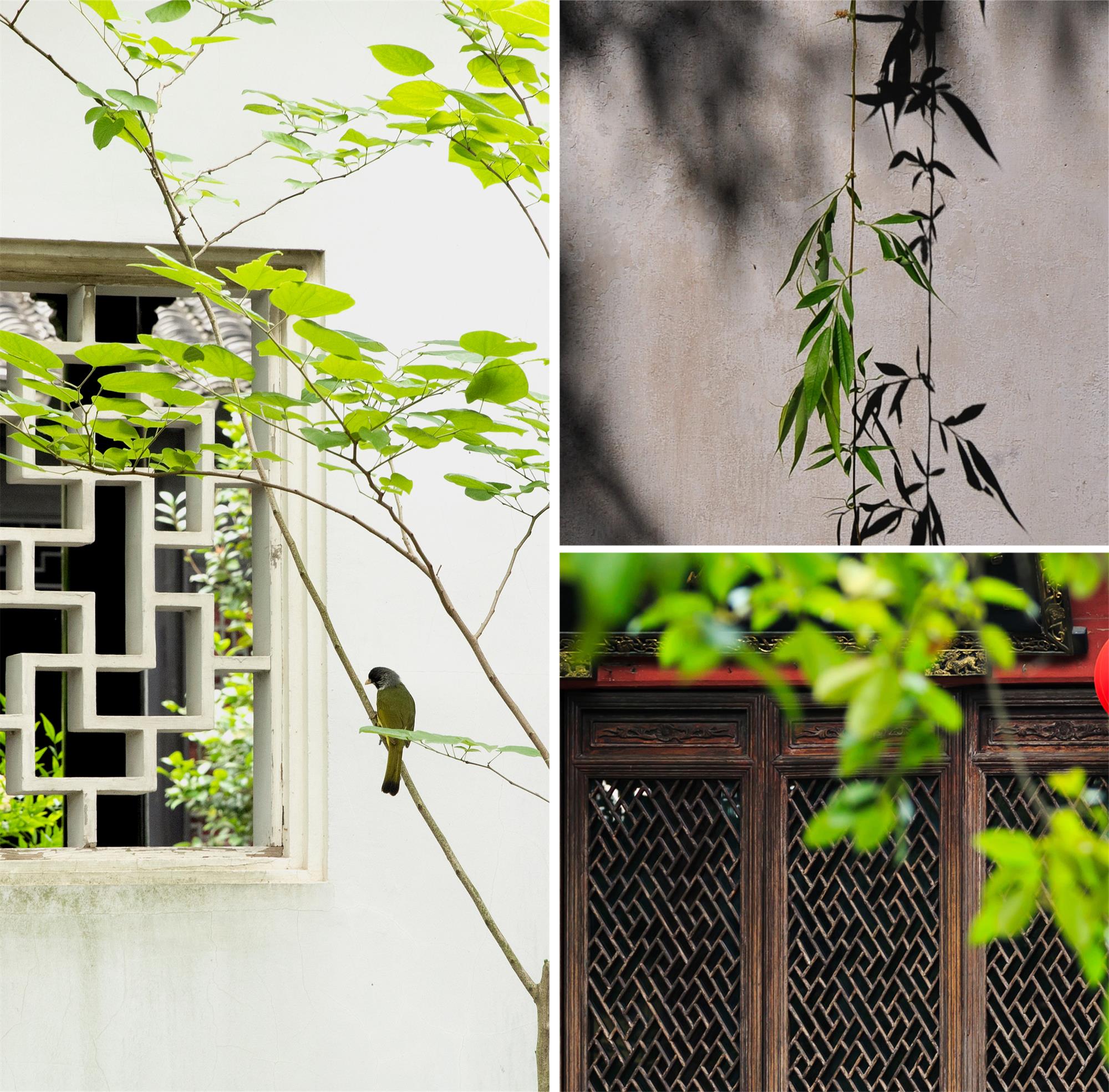 1664355381698646Br94.jpg 简素灵感图.jpg